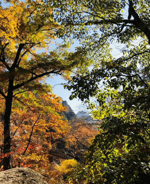 2024 설악산 단풍시기와 탐방코스 및 예약 방법