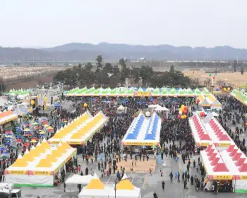 파주 장단콩축제_5