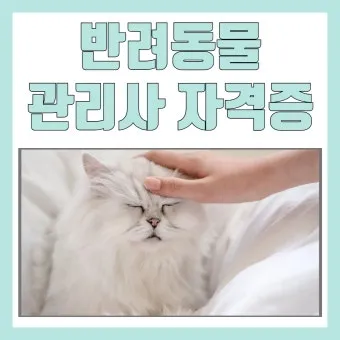 반려동물관리사 취득비용 온라인강의 취업처 은퇴 후 반려업 진입법_17