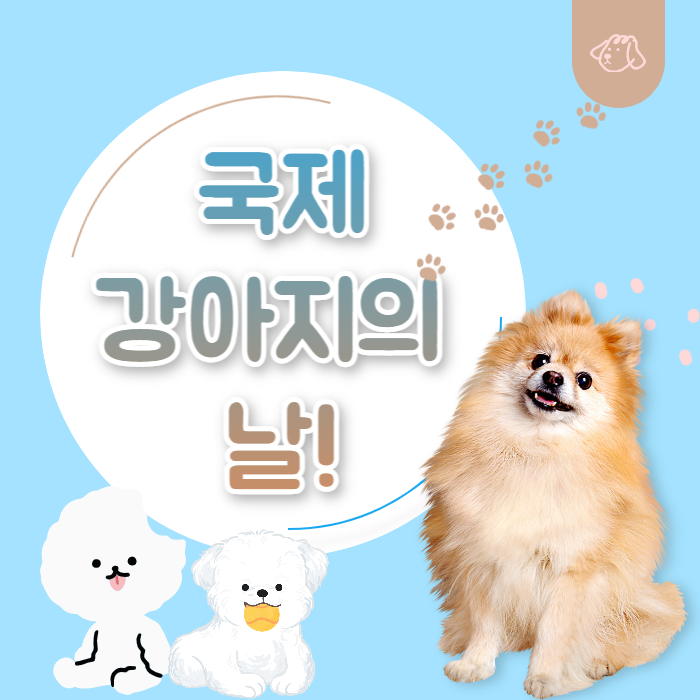 국제 강아지의 날 행사 정보