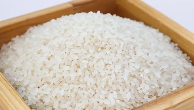 냉동실이나 서늘한 곳에 쌀을 보관하여 벌레를 퇴치하는 모습