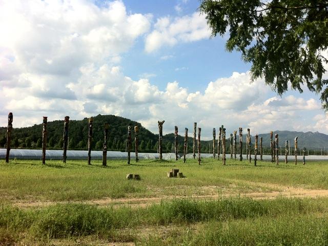 담양 메타세콰이어길, 전남 5월 가볼만한곳 정원 산책 명소