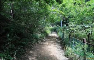 소백산 국립공원 실시간 cctv