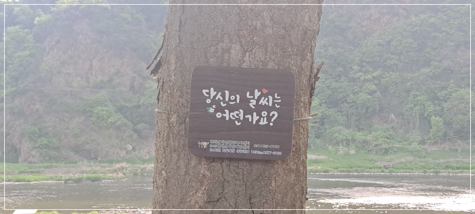 당신의-날씨는-어떤가요?