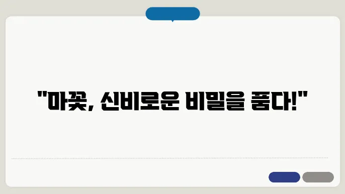 마꽃