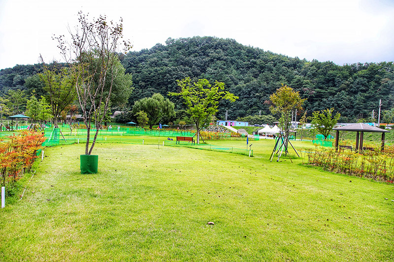 강원도 삼척 미로파크골프장 소개