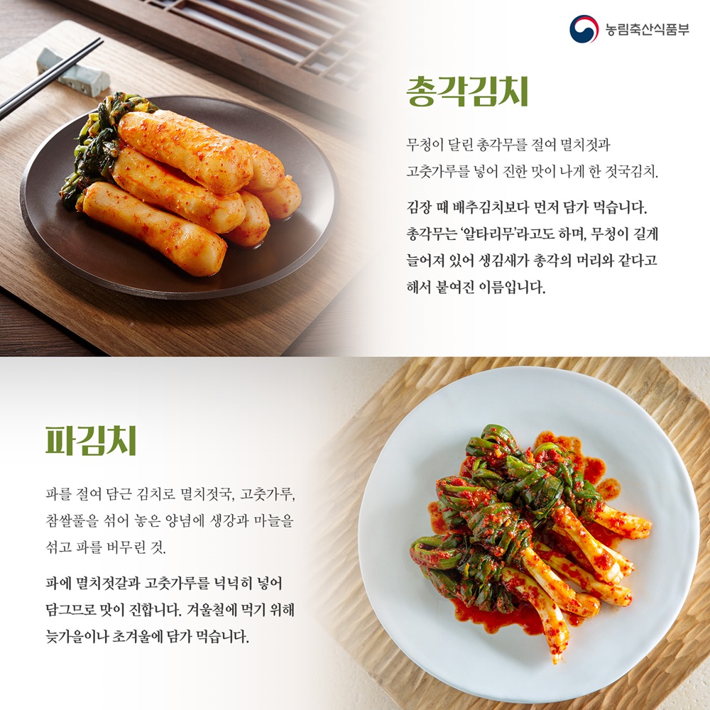 김치의 날 카드뉴스1