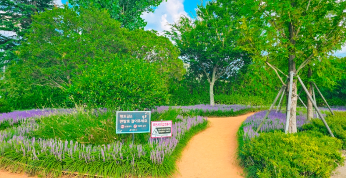 영천 우로지 자연숲