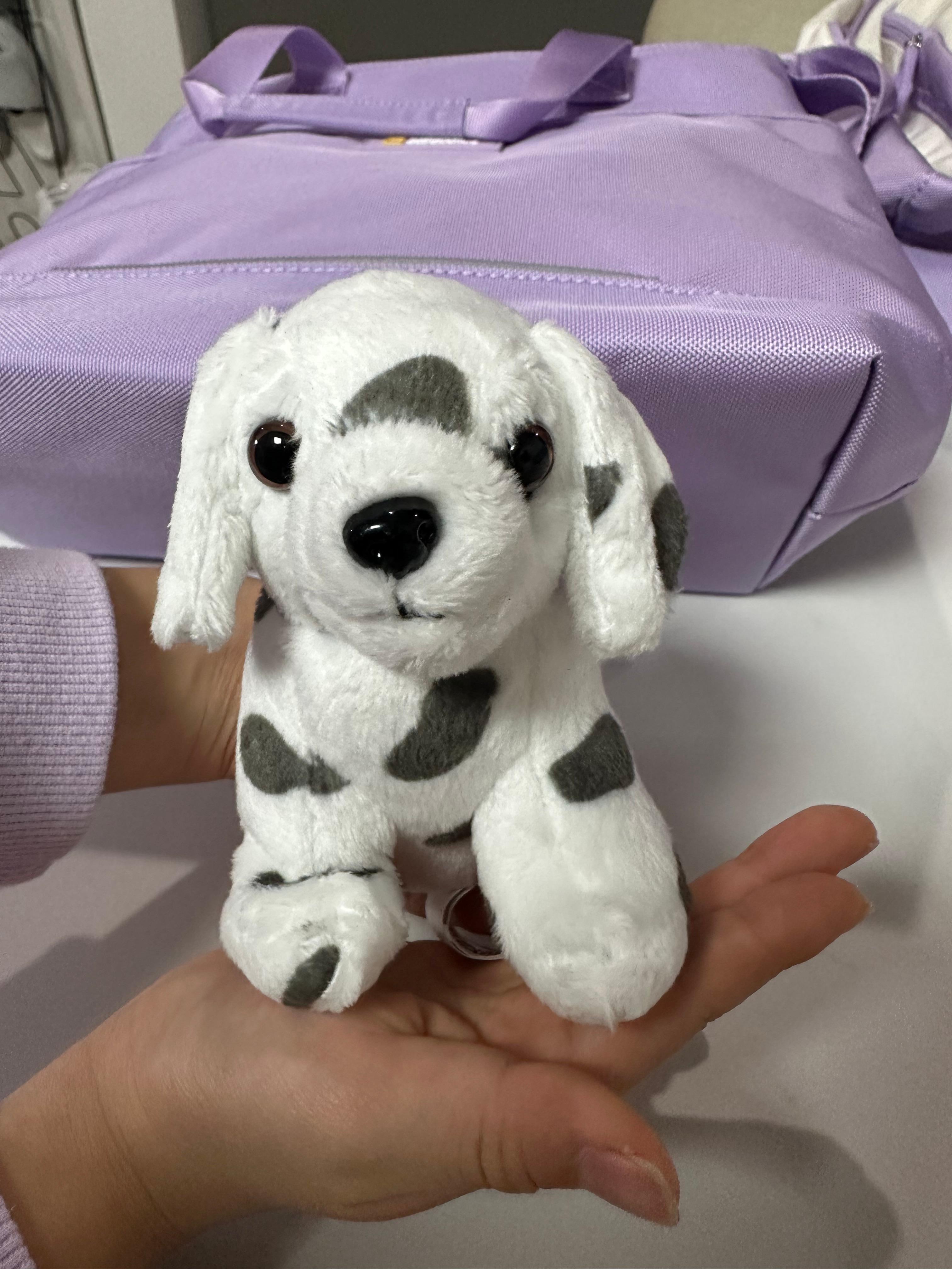 여아를 위한 네셔널지오그래픽 키즈 책가방 13L 4종 세트 찐후기