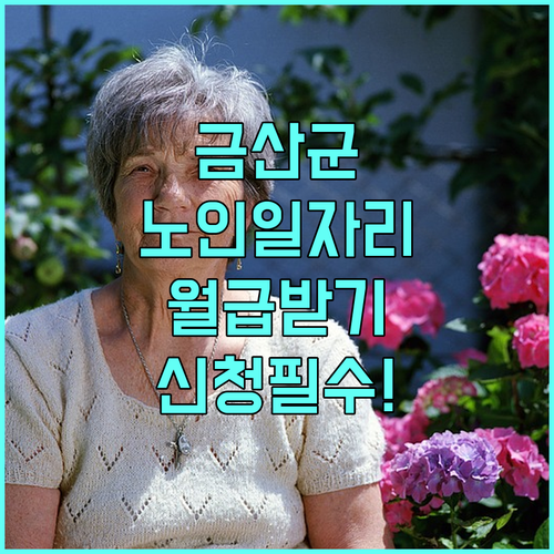 금산군 시니어클럽 이용법과 만 60세..