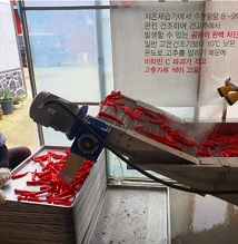 고추세척
