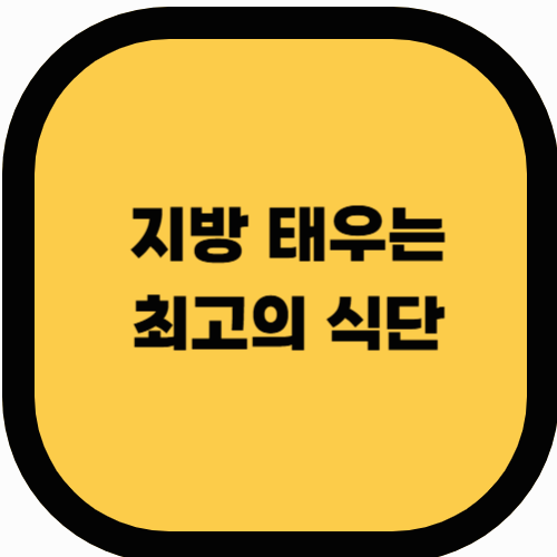 지방 태우는 최고의 식단: 키토제닉 vs 저탄수화물 비교