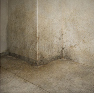 22편. 장마철 곰팡이 냄새 관리 실전 방법