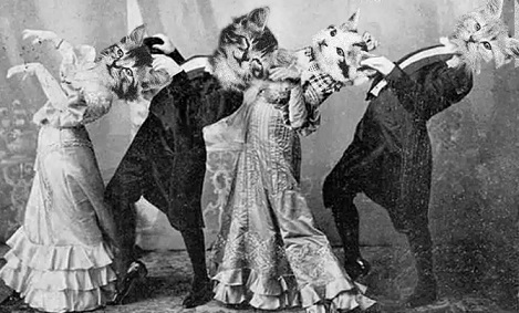 Cat Ladies! Cat Lovers! 3