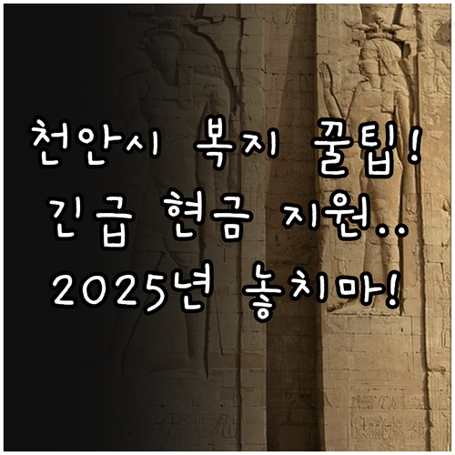 천안시 복지 사각지대 해소 2025 ..