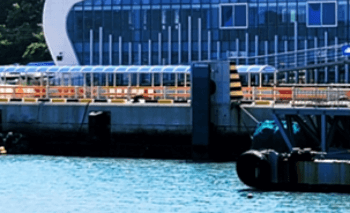 진도에서_추자도_가는_방법