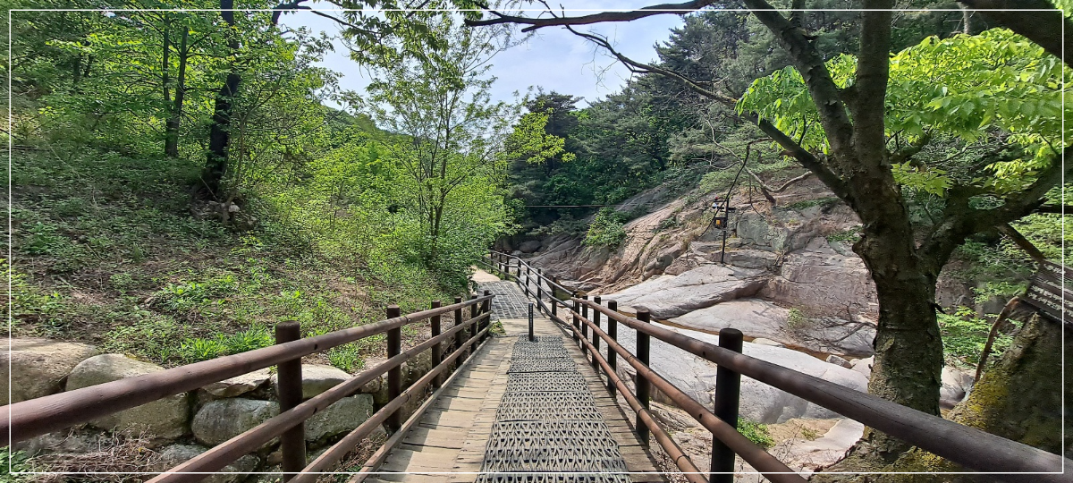 내려가는-길-계단