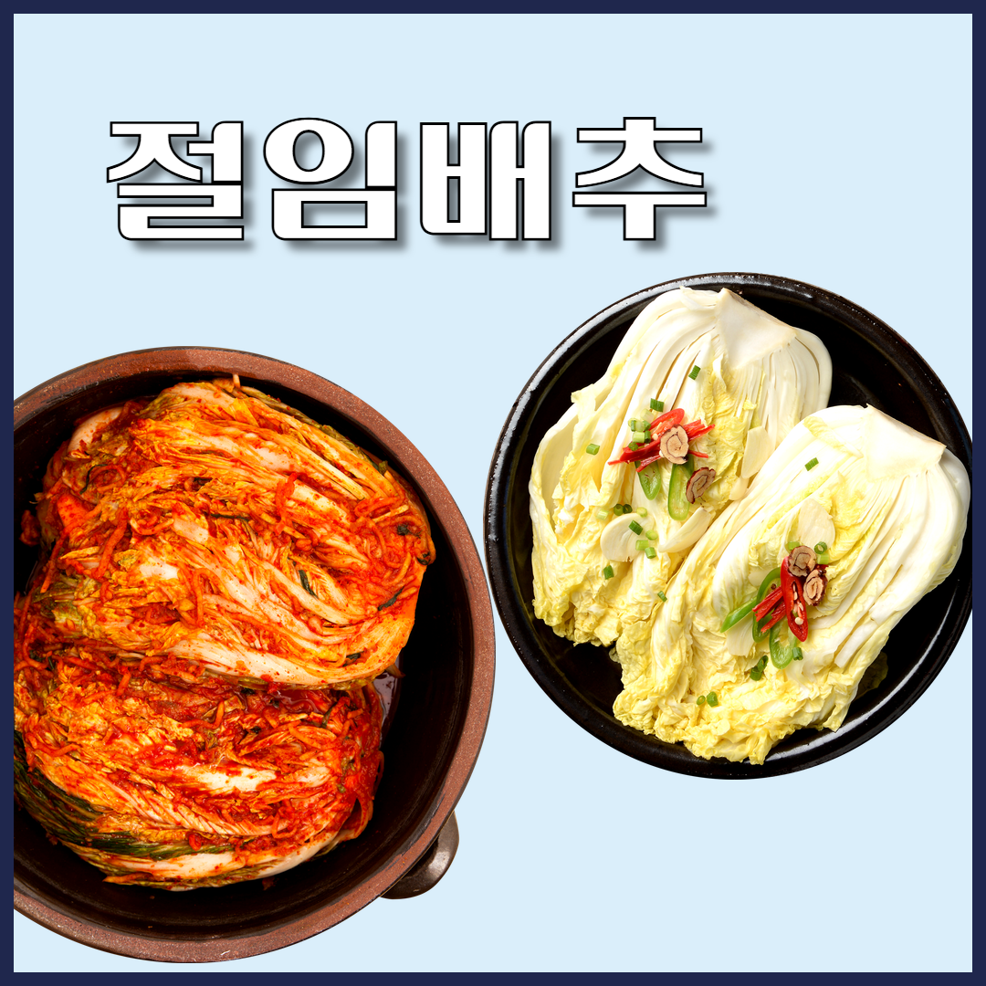 절임 배추 씻어야 신선함을 오래 유지할 수 있는 방법