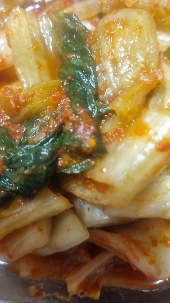 김장김치 무르는 이유 마늘즙이 너무 많으면 