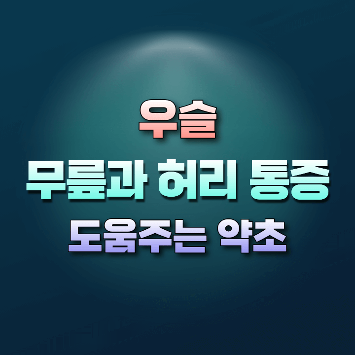 우슬의효능
