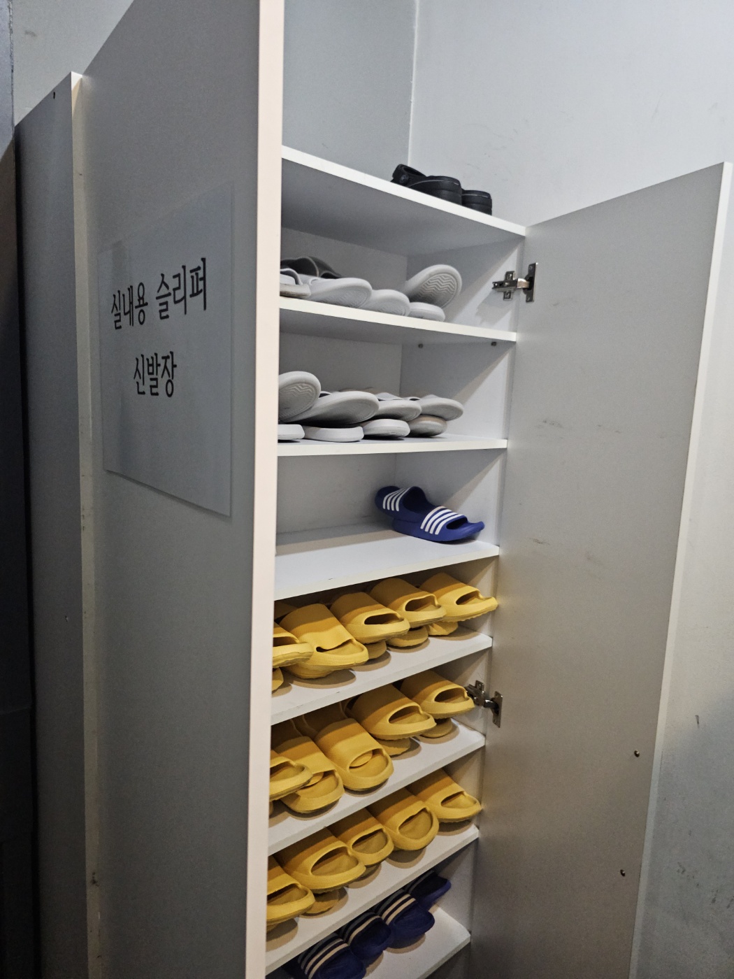 야옹이네 고양이 카페