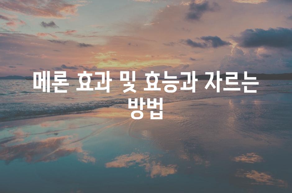 샘플 (81)