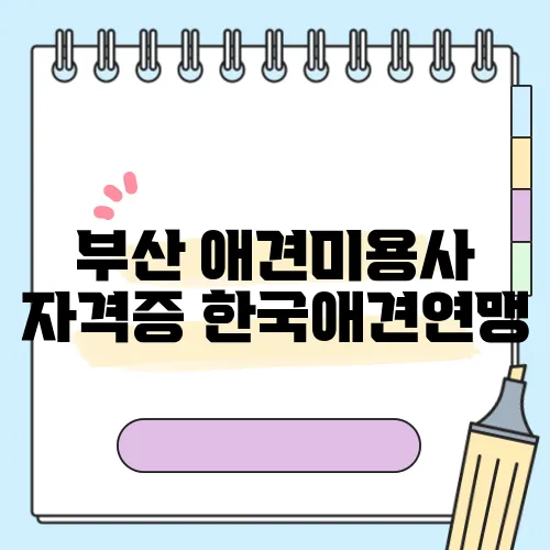 부산 애견미용사 자격증 한국애견연맹