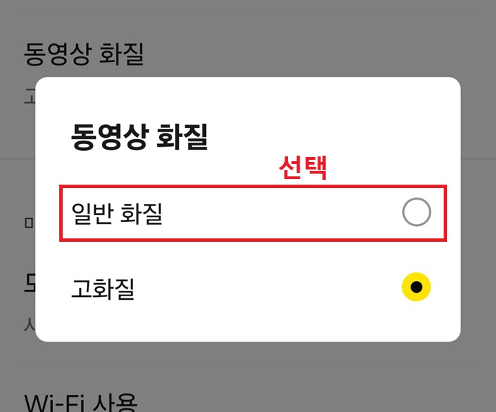 동영상 화질 선택 창 보임