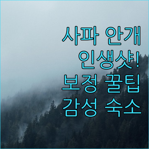 베트남 사파 안개 낀 날 인생 사진 ..