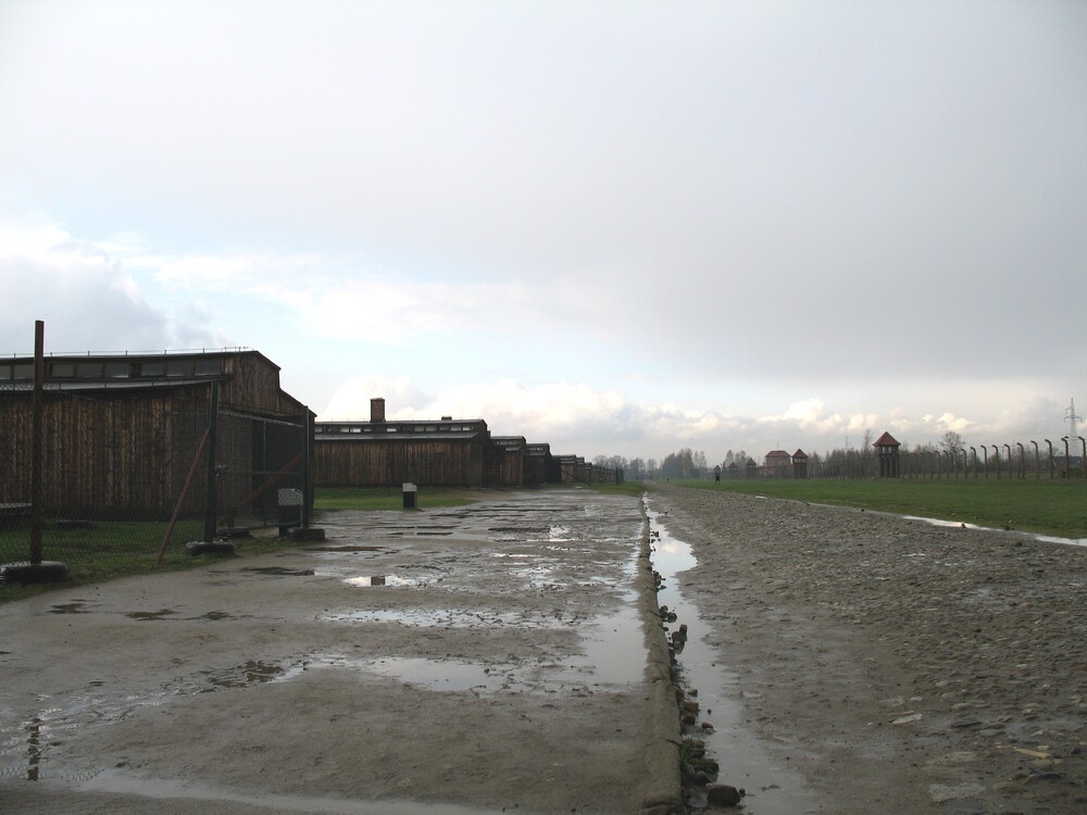 아우슈비츠 나치강제수용소 제2차세계대전 집단학살 홀로코스트 역사적진실 유네스코 세계문화유산 역사교육