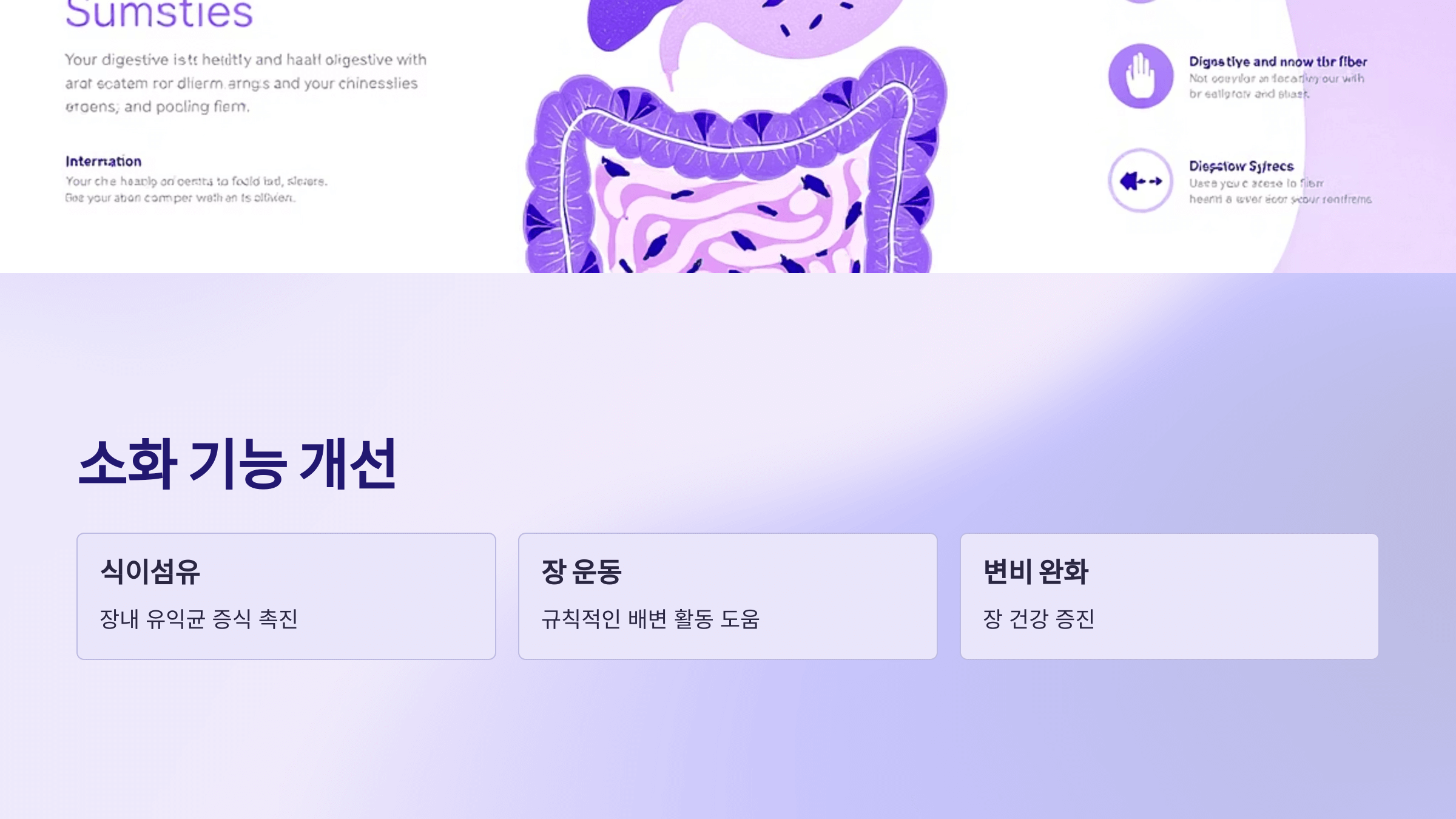 오디 사진입니다.