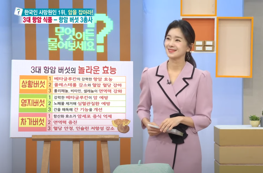 3대 항암버섯 3총사: 상황버섯 영지버석 차가버섯 효능과 복용법