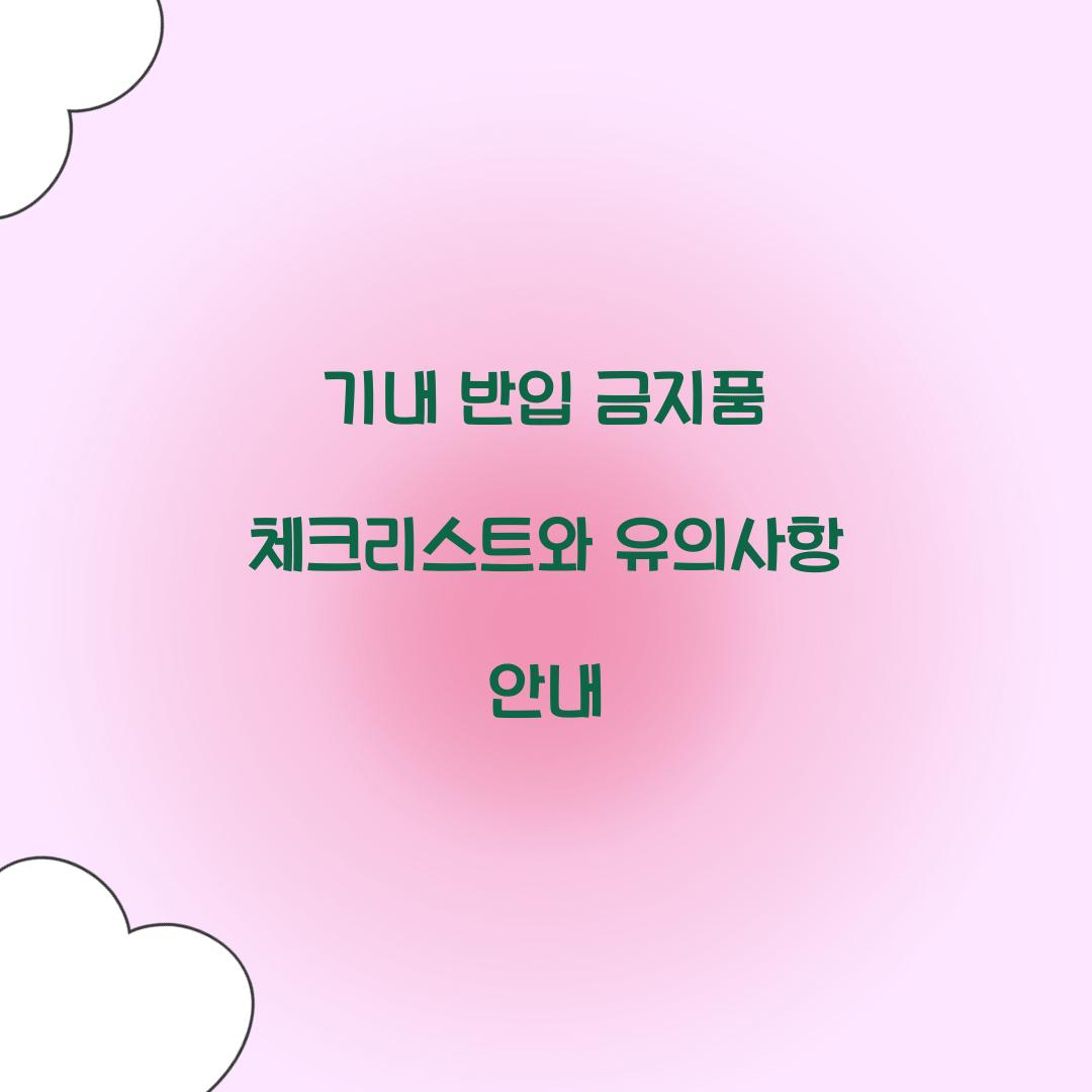 기내 반입 금지품