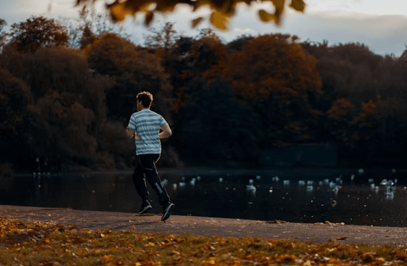 면역력 &amp;활력 UP 습관: 잔병치레 끝! 필수 가이드