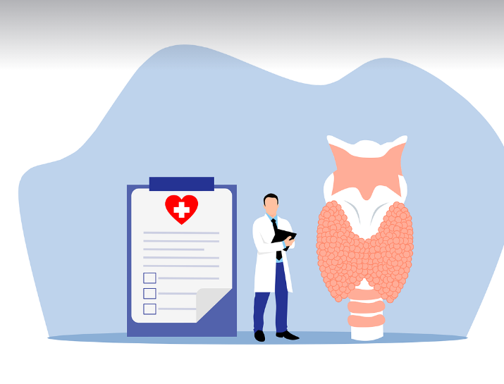 단백질과 호르몬: 단백질이 우리 몸의 호르몬 균형을 어떻게 조절할까?