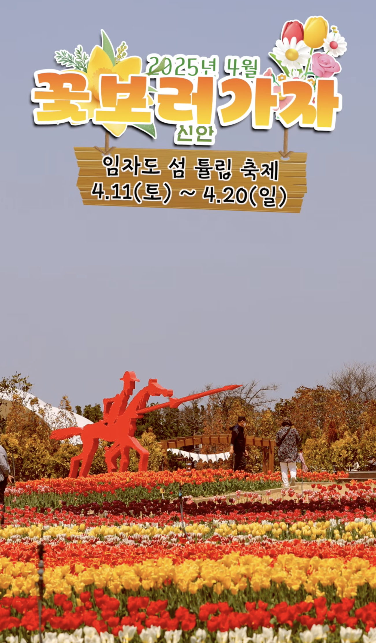 임자도섬튤립축제