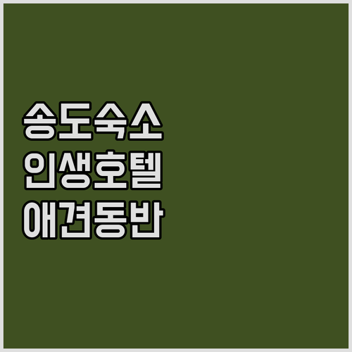 직접 가본 송도 호텔 레지던스 추천 ..