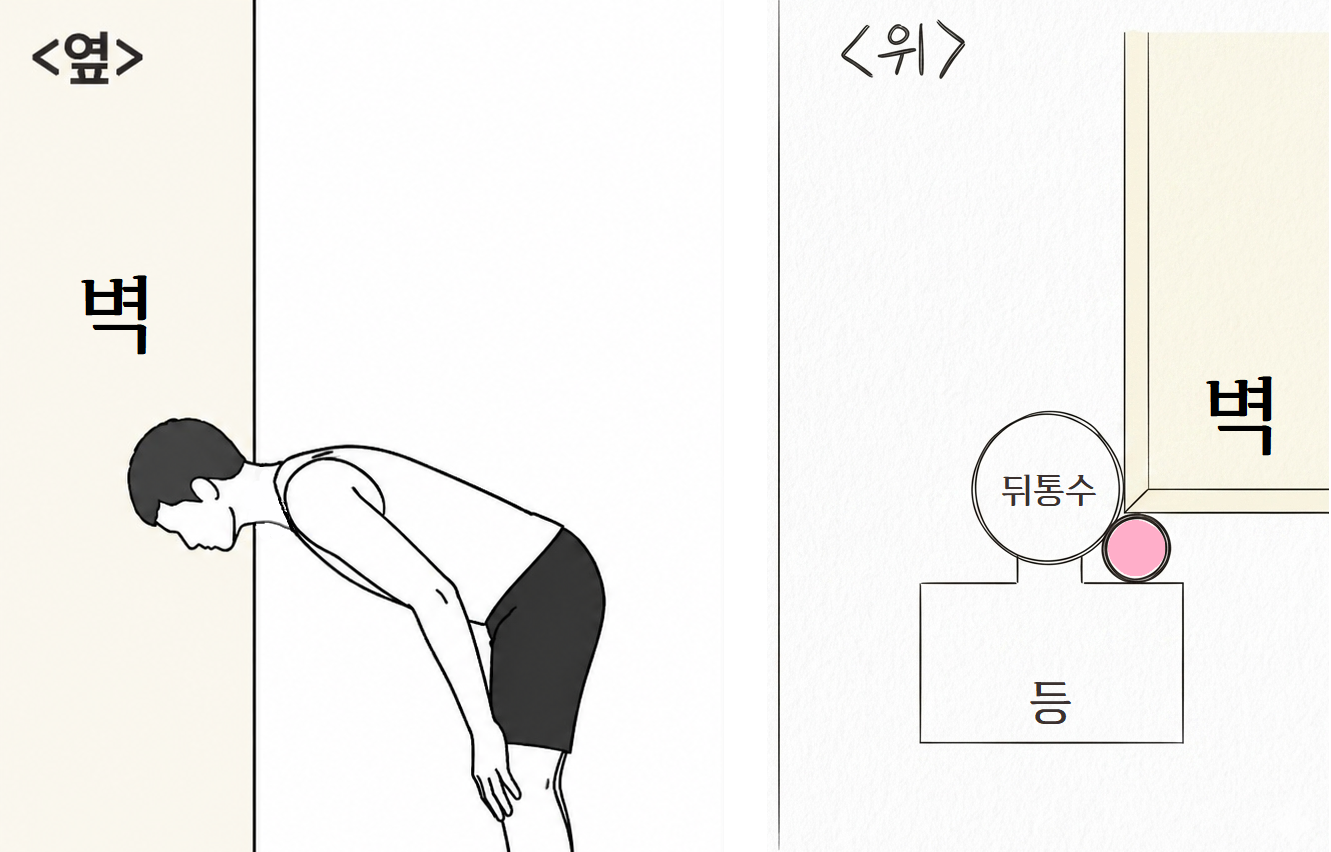 벽과 마사지볼을 활용한 상부승모근 마사지 자세
