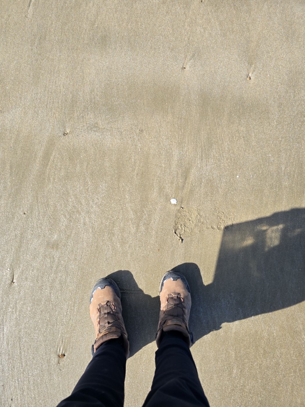 갯벌이 딱딱해서 아무신발이나 신고 들어가도 좋아요