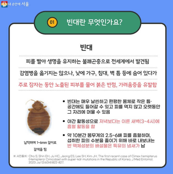 빈대 정의