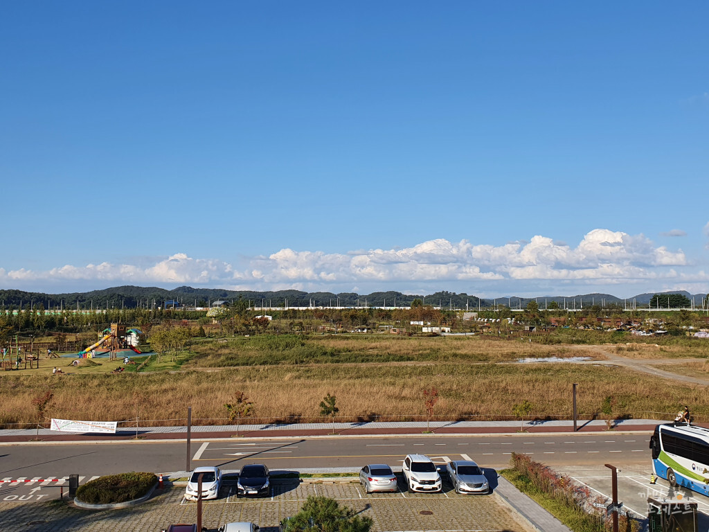 평화누리 캠핑장 수풀누리 공원