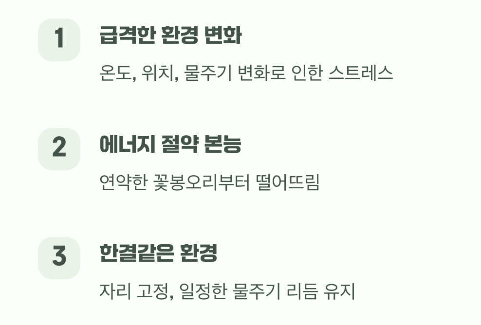 꽃봉오리가 우수수, 왜 떨어질까?