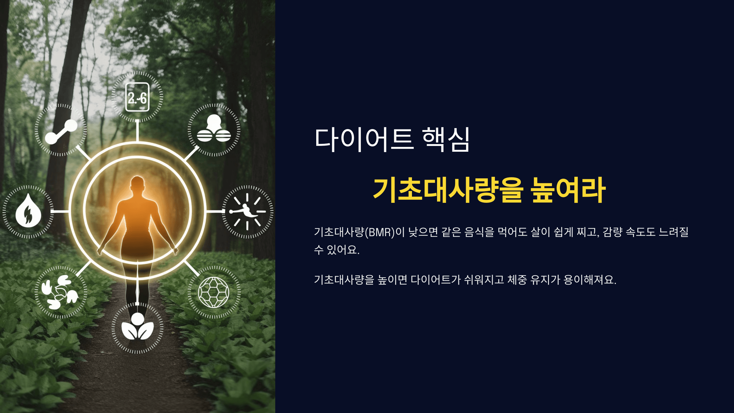 다이어트 핵심: 기초대사량을 높여라