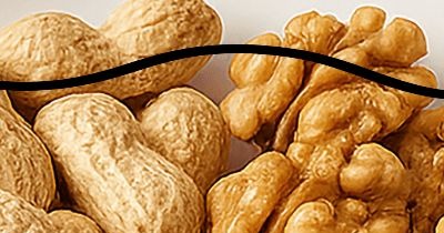 폐에 좋은 음식 10