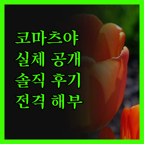 그린 호텔 코마츠야 실체를 파헤쳐 봅