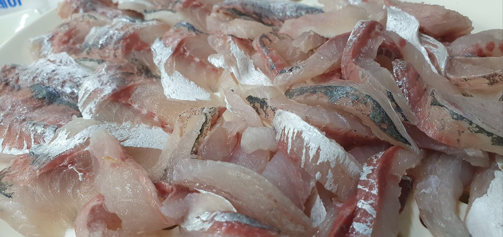 전갱이회 제철