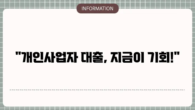 개의 사업자 대출: 선정 문형