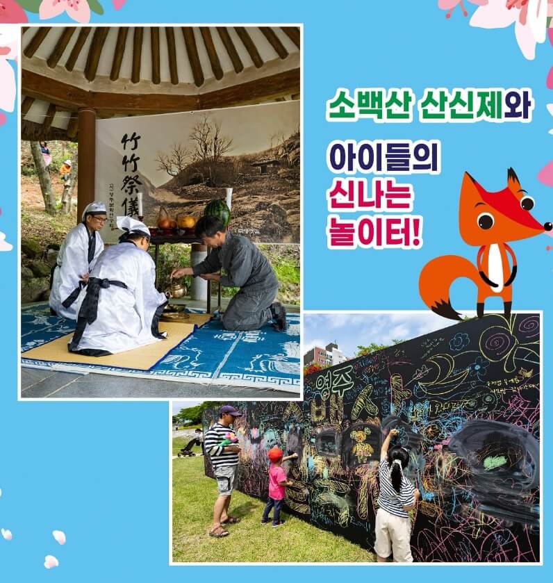 2025 영주 소백산 철쭉제 일정, 개화현황, 가는방법, 고향사랑기부 이벤트 총정리