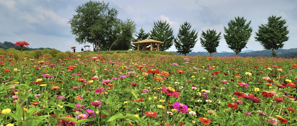 임진강 댑싸리공원 이미지
