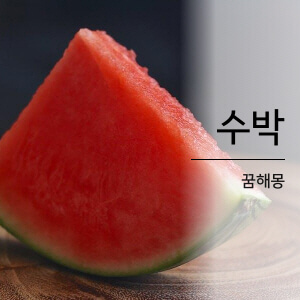 수박 꿈해몽